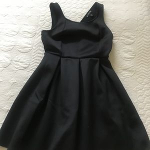 Express Skater Dress